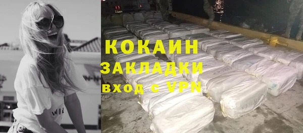 mdpv Богородицк
