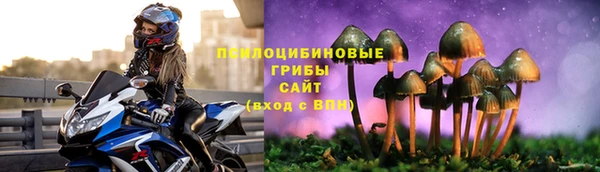 ГАЛЛЮЦИНОГЕННЫЕ ГРИБЫ Богданович