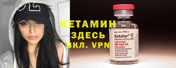 ГАЛЛЮЦИНОГЕННЫЕ ГРИБЫ Богданович