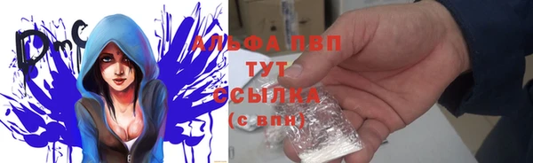 ГАЛЛЮЦИНОГЕННЫЕ ГРИБЫ Богданович