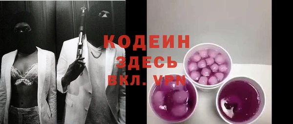 ГАЛЛЮЦИНОГЕННЫЕ ГРИБЫ Богданович
