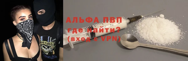 ГАЛЛЮЦИНОГЕННЫЕ ГРИБЫ Богданович