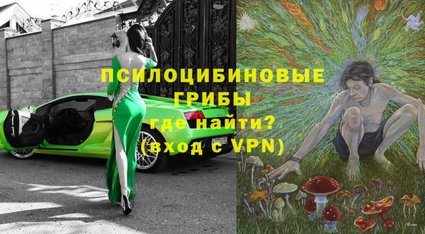 mdpv Богородицк