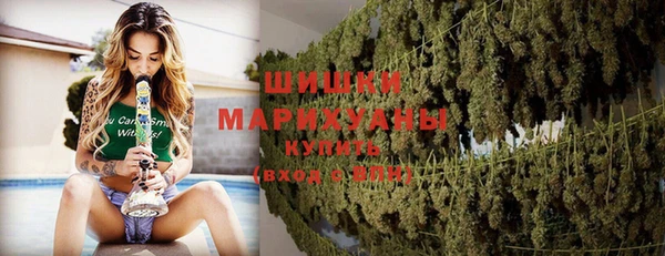 mdpv Богородицк